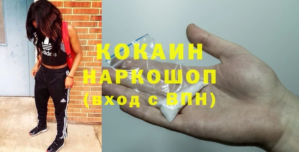 хмурый Аркадак