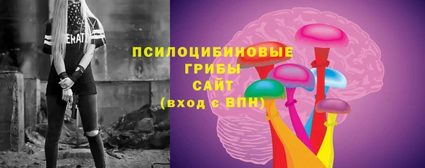 хмурый Аркадак