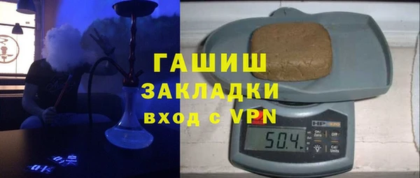хмурый Аркадак