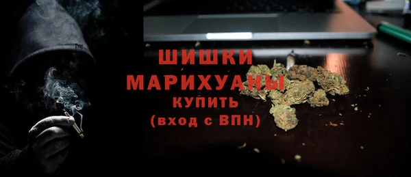 хмурый Аркадак