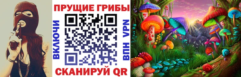 Галлюциногенные грибы Psilocybine cubensis Белово