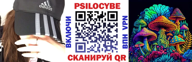 Псилоцибиновые грибы прущие грибы  купить закладку  Белово 