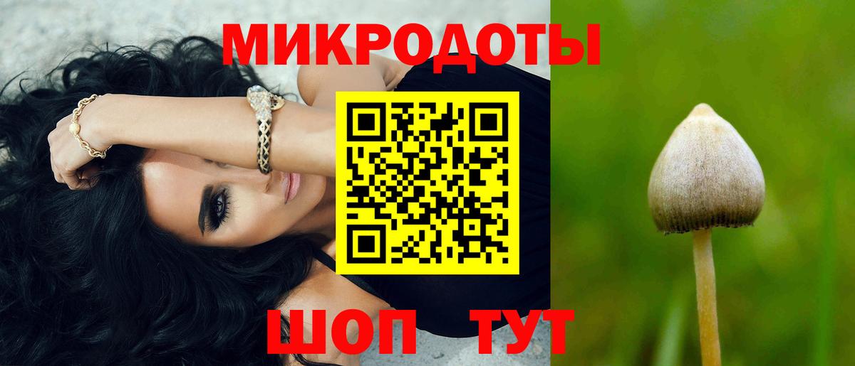 Псилоцибиновые грибы Psilocybine cubensis Белово